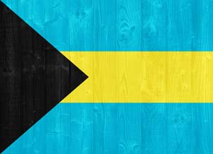 sharplink apostille flag services