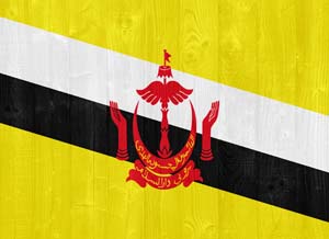 sharplink apostille flag services