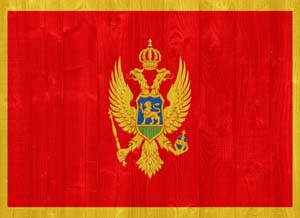 sharplink apostille flag services