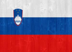 sharplink apostille flag services