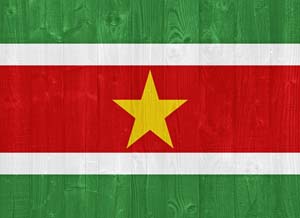 sharplink apostille flag services