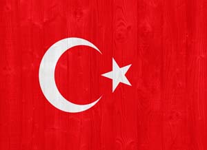 sharplink apostille flag services
