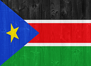 South sudan flag authentication